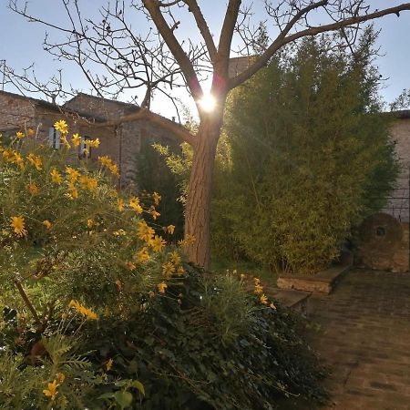 Assisi Hus Stanza Tripla In Appartamento Exterior foto