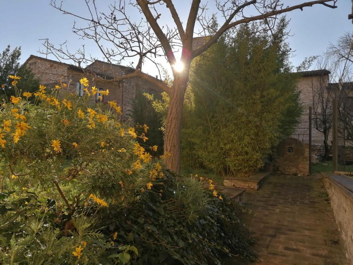 Assisi Hus Stanza Tripla In Appartamento Exterior foto